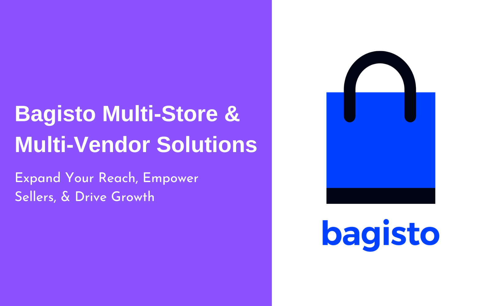 Bagisto Multi-Store & Multi-Vendor Solutions